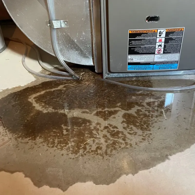 Pipe Burst and Leak Restoration in Quay County, NM