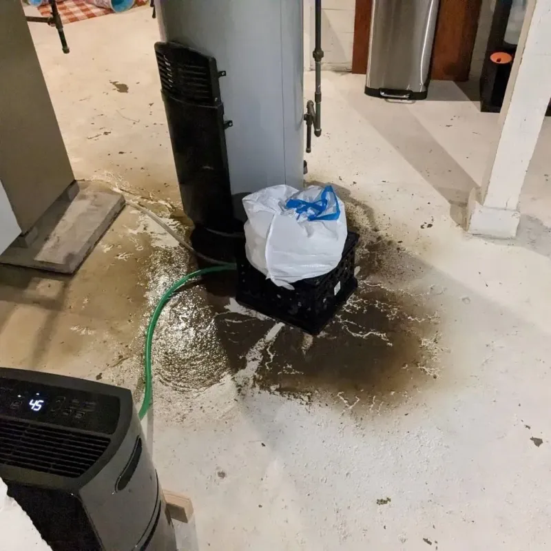 Sewage Backup Cleanup Service in Quay County, NM